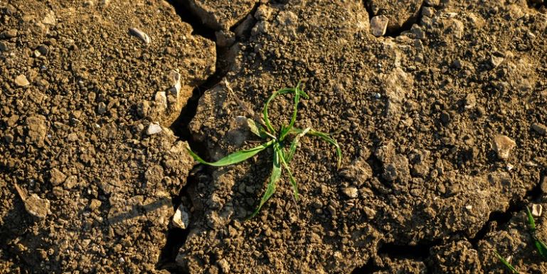 Crack soil