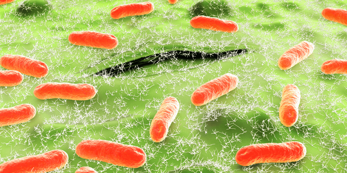 Microscopic view of orange bacteria surrounded by a green textured background.