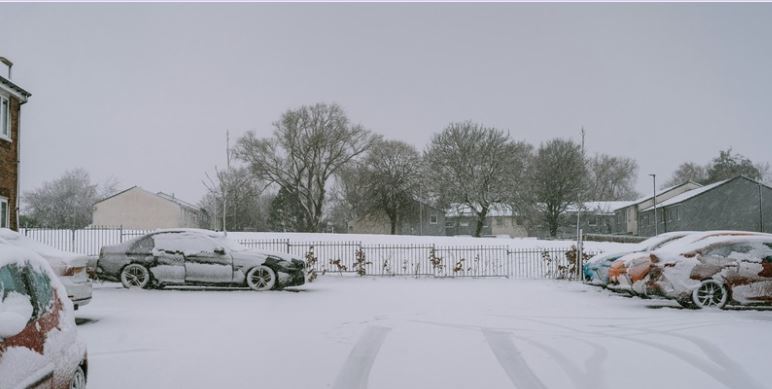 Snowy