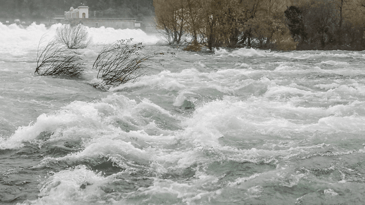Fast-moving floodwaters surge through a river with partially submerged trees and a dam in the background.