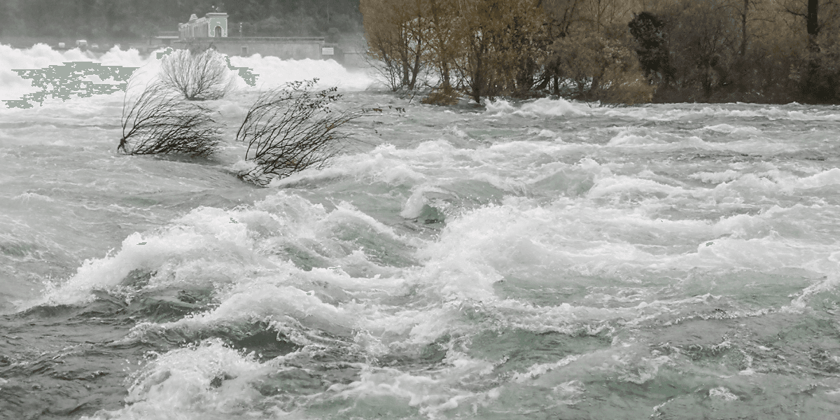Fast-moving floodwaters surge through a river with partially submerged trees and a dam in the background.