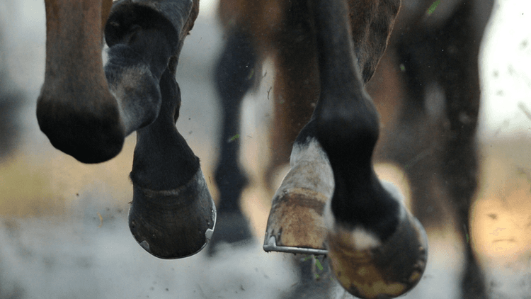 Historic Victory at the 2026 Kentucky Derby Marks a Milestone for American Horse Racing