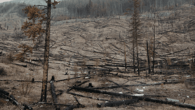 Texas Confronts Escalating Wildfire Threat as Panhandle Blazes Burn Thousands of Acres