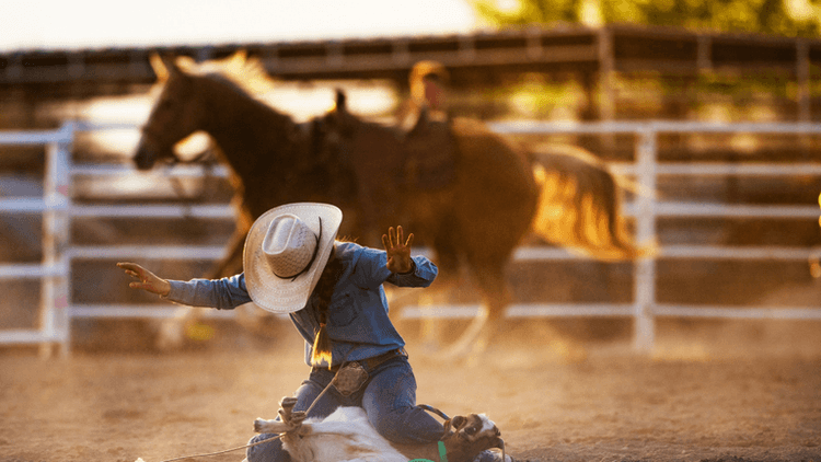 Houston Rodeo Best Bites: How the 2026 Season Launch Reflects Texas Culture, Community, and Economic Impact