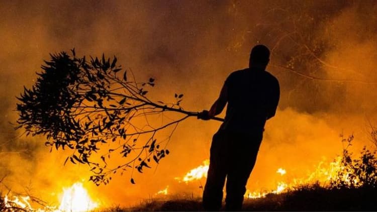 Leaves fire