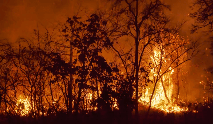 Central and West Texas Wildfires Trigger Statewide Emergency Response