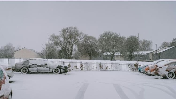 Snowy