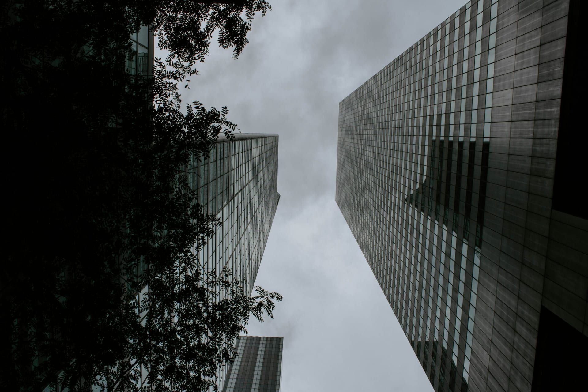 Corporate Earnings Season: Mixed Signals of Optimism and Caution