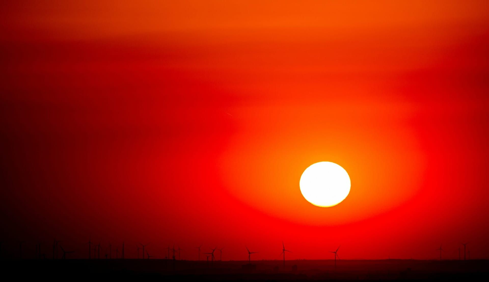 Bernd dittrich 71wfzhklhw unsplash