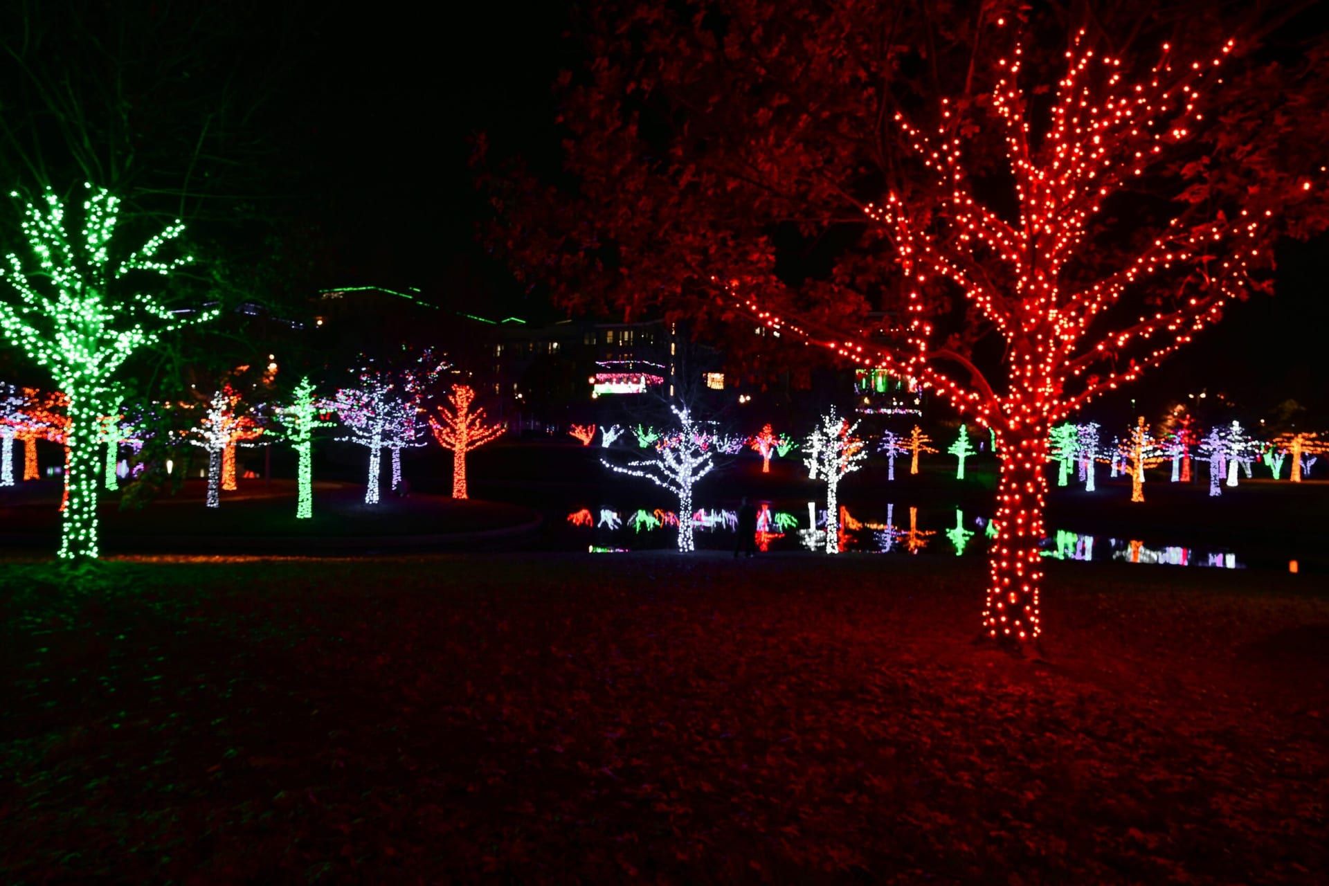 Texas Lights Up with Holiday Magic Across Cities