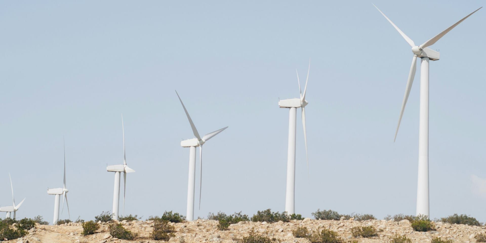Texas Tech Startup Raises $50 Million to Expand Renewable Energy Solutions