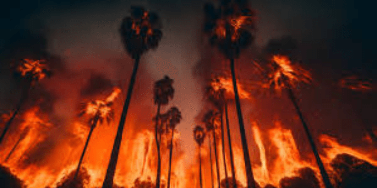 Hawaii Faces Unprecedented Wildfire Crisis Amid Urgent Federal Aid and Calls for Climate Action