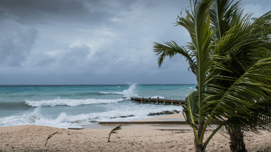 Waves crashing on a beach with palm trees and a wooden pier under gray skies