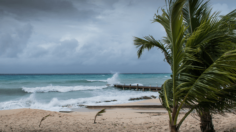 Waves crashing on a beach with palm trees and a wooden pier under gray skies