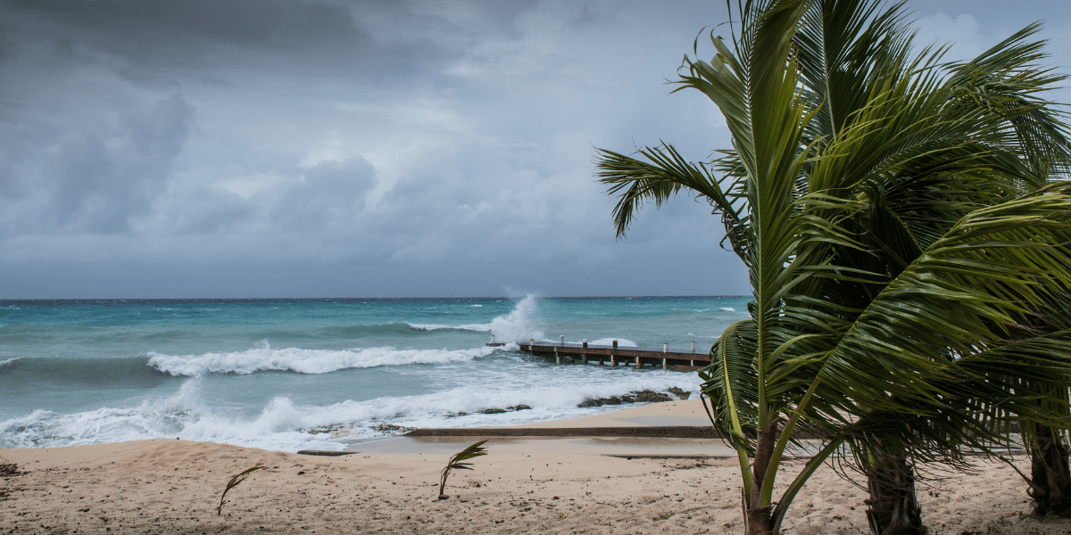 Waves crashing on a beach with palm trees and a wooden pier under gray skies