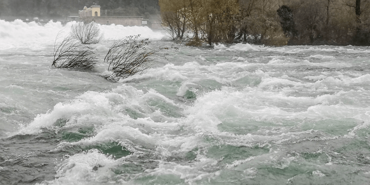 Fast-moving floodwaters surge through a river with partially submerged trees and a dam in the background.