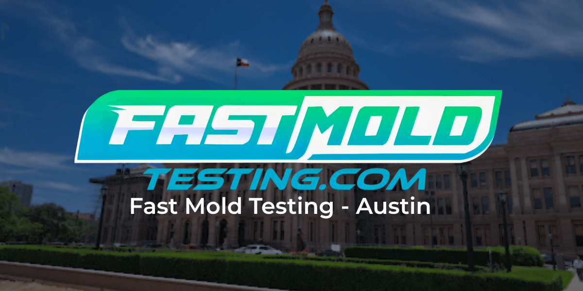 Fast mold testing best mold inspection & testing company in austin of 2026