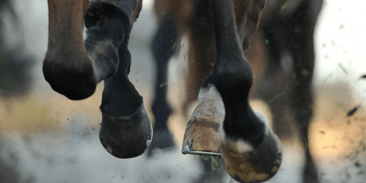 Historic Victory at the 2026 Kentucky Derby Marks a Milestone for American Horse Racing