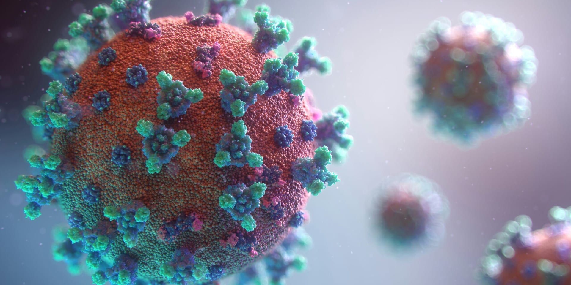 First Human West Nile Virus Case Confirmed in Hays County, Health Officials Urge Precautions