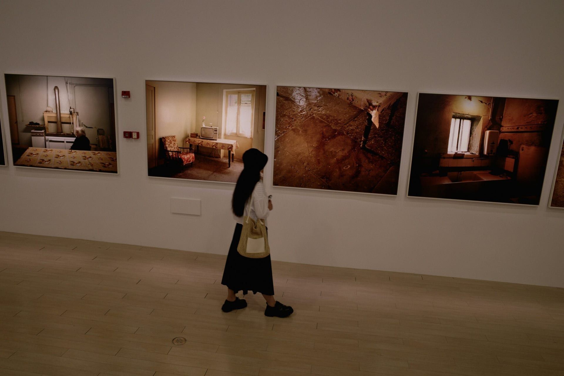 Nalini Malani’s “My Reality is Different” at the National Gallery