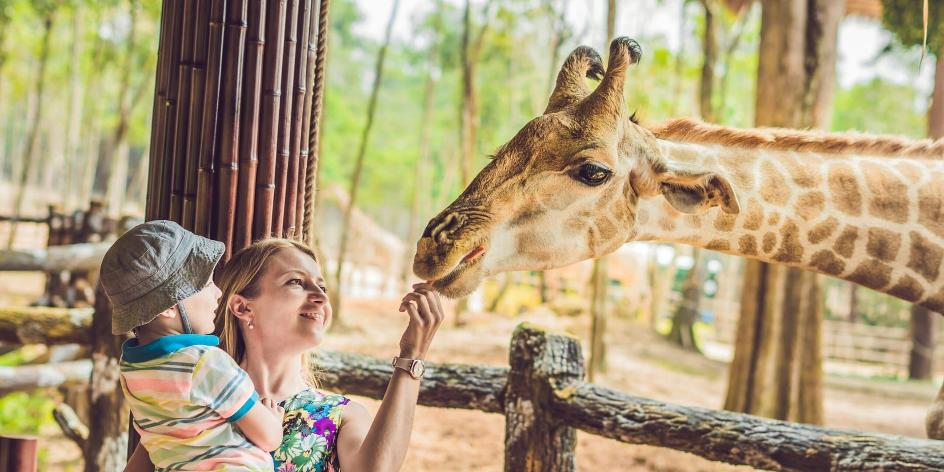 San Antonio Zoo Offers Free Admission to Educators in June
