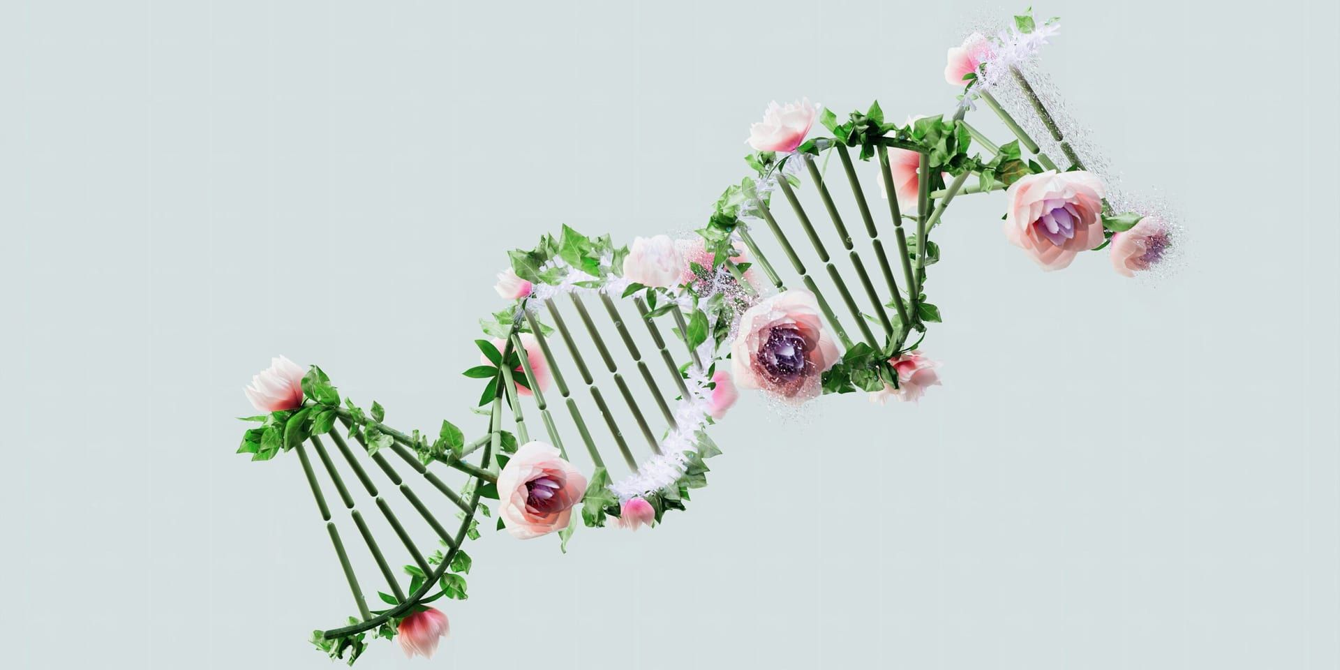 Texas Senate Bill Defines “Sex” Based on Biological Criteria