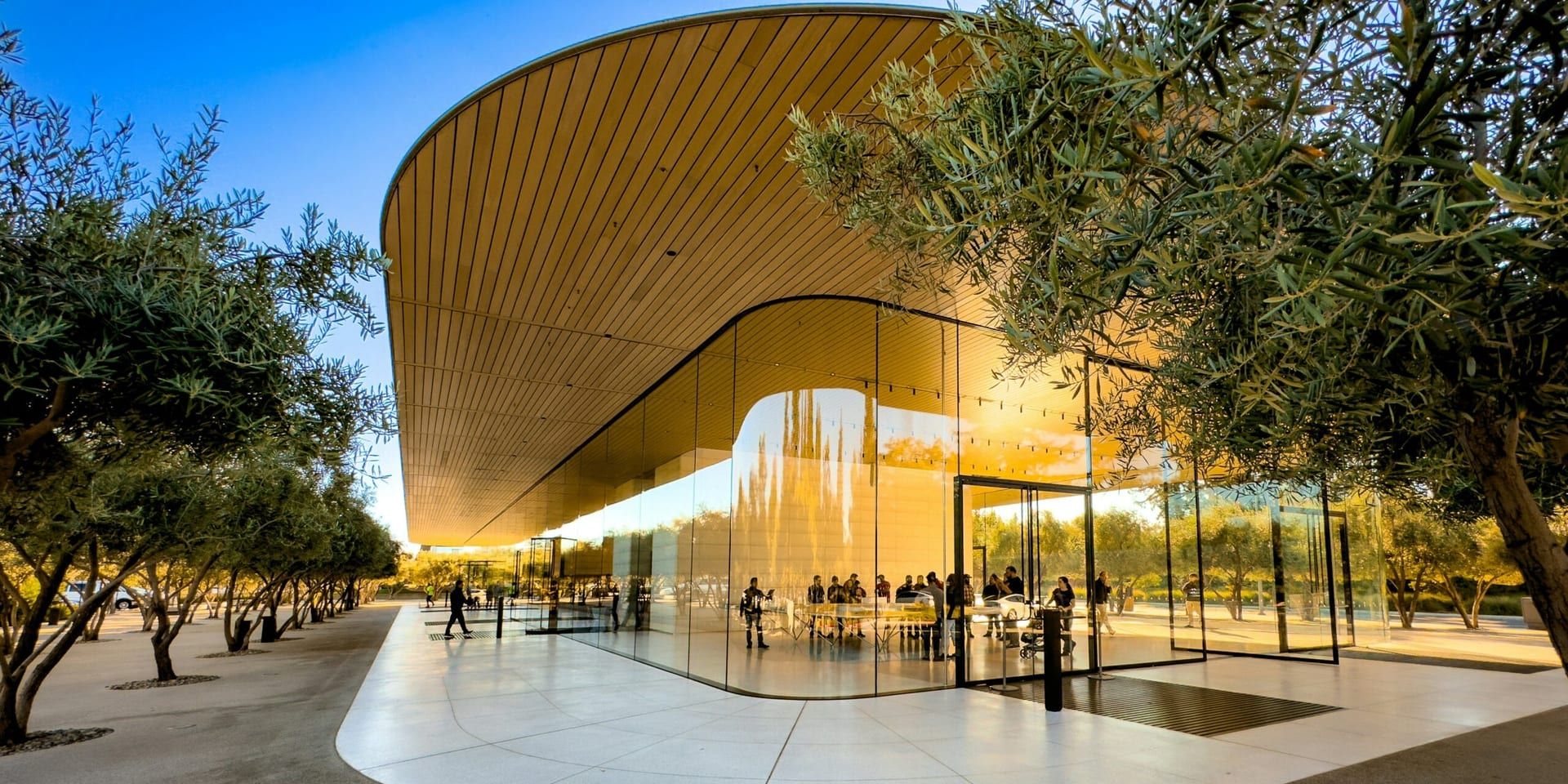 Texas Arts Scene Flourishes with New Museums and Cultural Events in 2025
