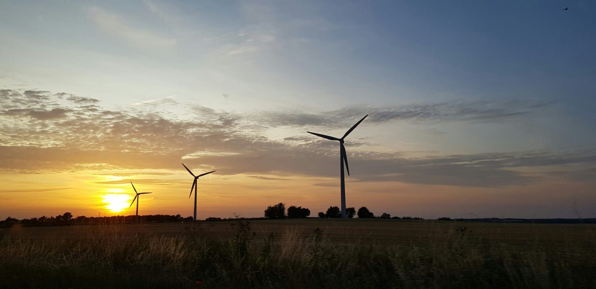 Texas Launches Ambitious Renewable Energy Initiative to Lead the Green Future