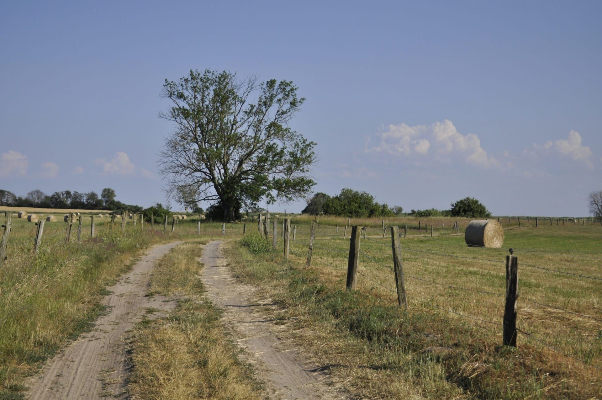 Texas Expands Broadband Access with $1 Billion Funding Boost for Rural Areas