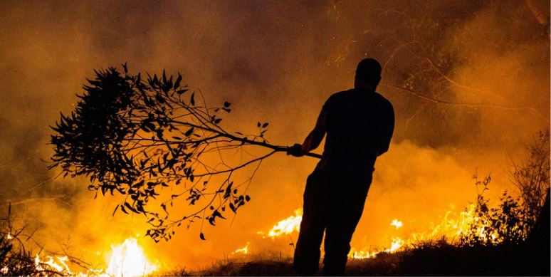 Leaves fire
