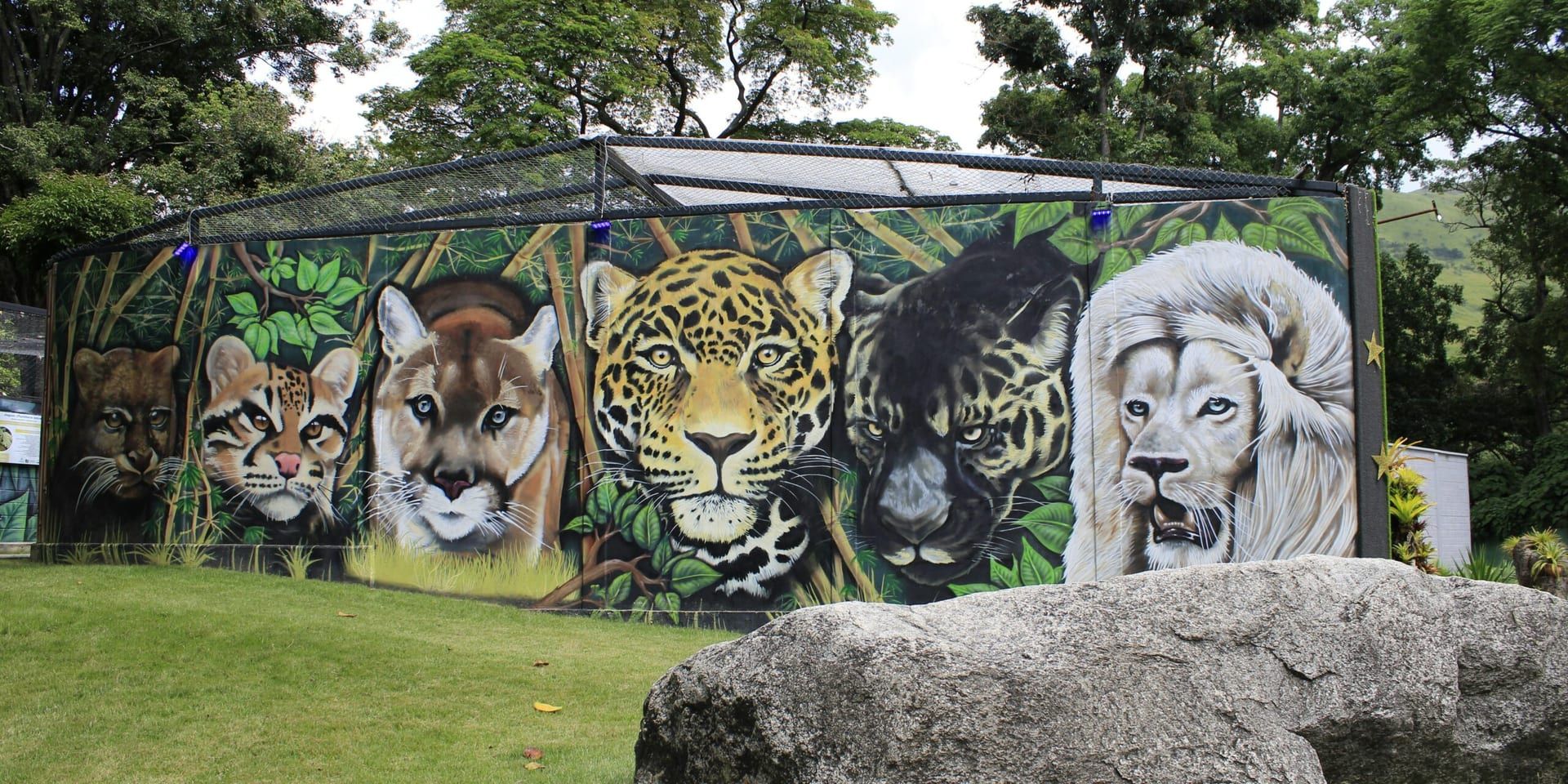 San Antonio Zoo Offers Free Admission to Teachers