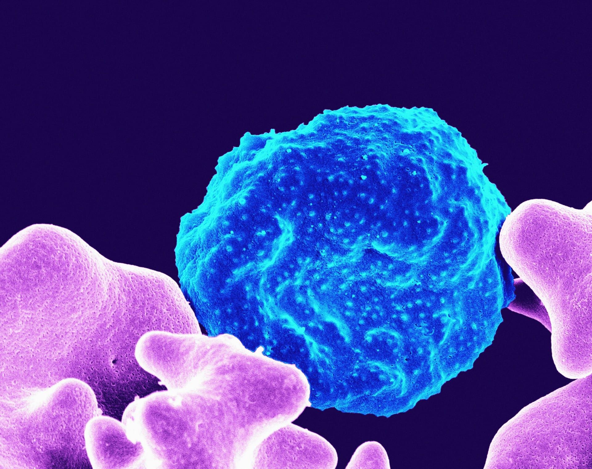 Breakthroughs in Oncology and Rare Disease Treatments as NHS Seeks to Streamline MedTech Adoption