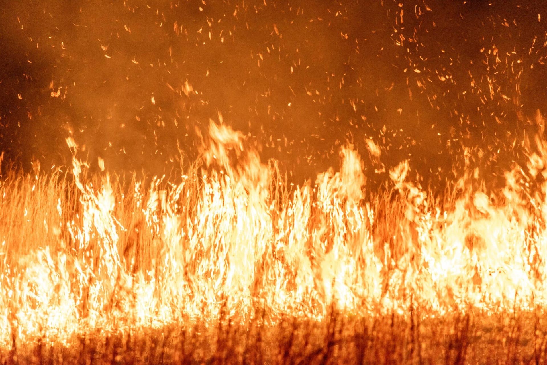 Dallas Warehouse Blaze Raises Health and Environmental Alarm Bells