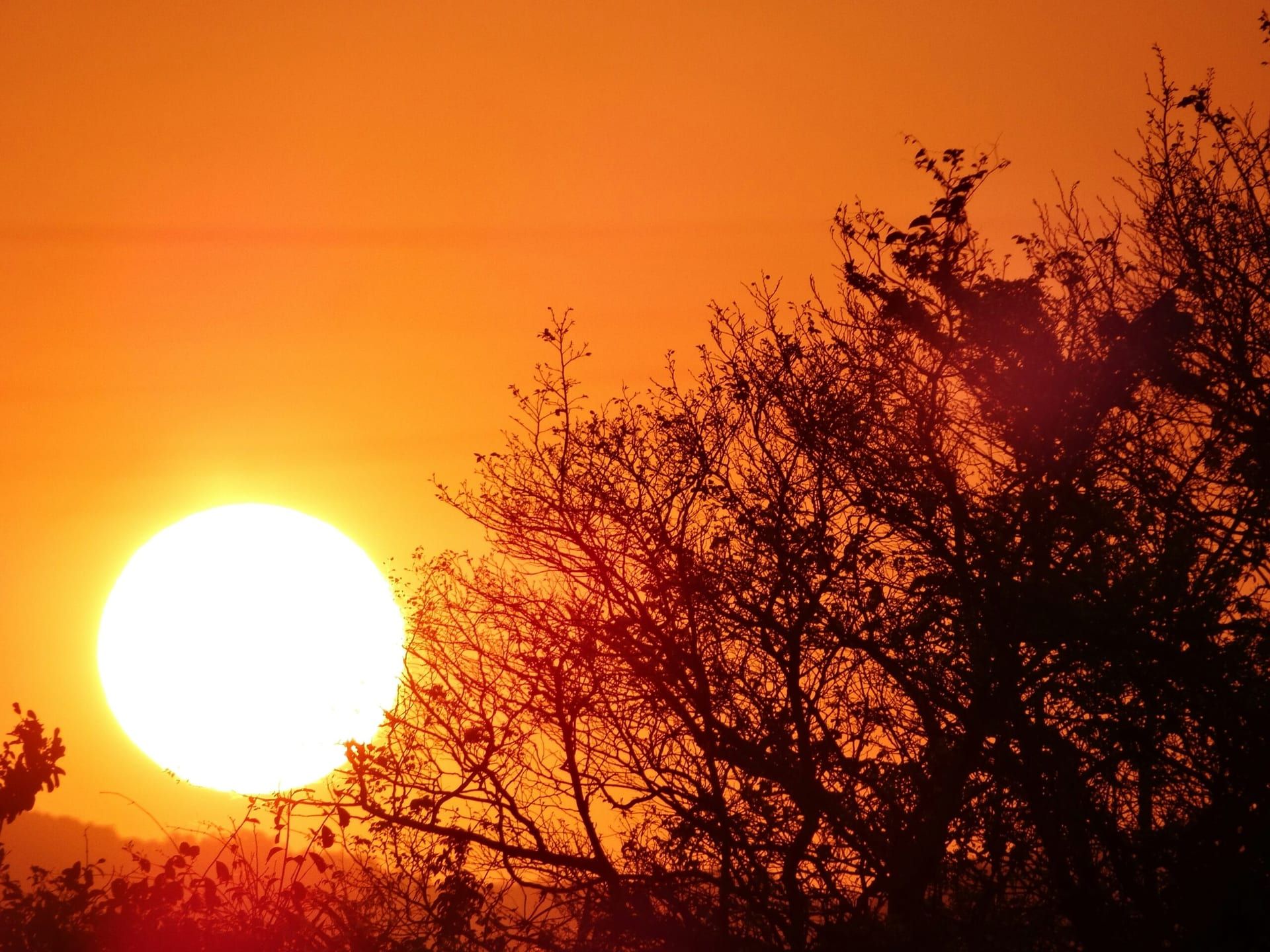 Texas Endures Dramatic Temperature Swings Amid February Weather Extremes