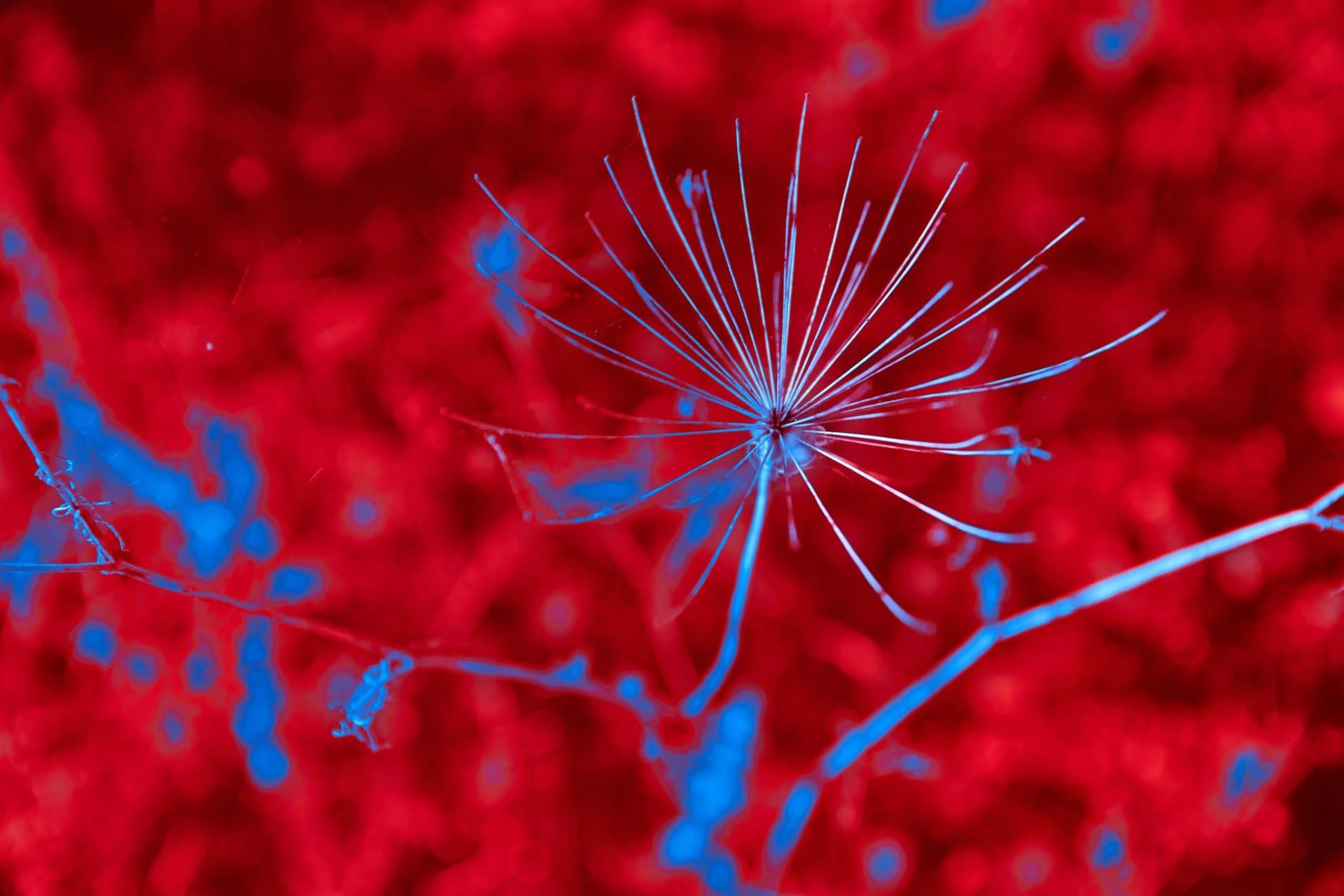 Science Frontiers: Fruit Fly Brain Map and Eco-Tech Plants Signal New Health Horizons