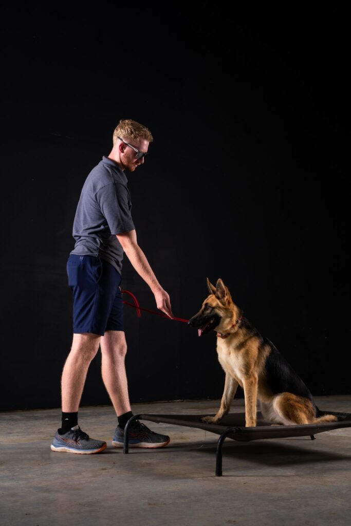 Dog trainer guiding a German Shepherd through place training on an elevated platform.